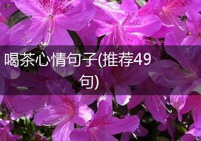 喝茶心情句子(推荐49句)
