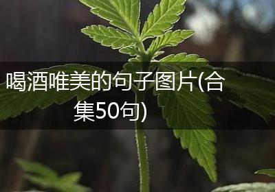 喝酒唯美的句子图片(合集50句)