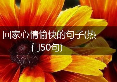 回家心情愉快的句子(热门50句)