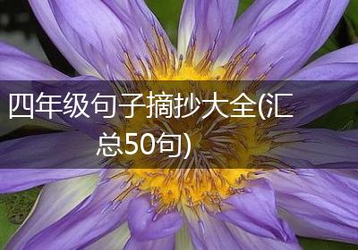 四年级句子摘抄大全(汇总50句)