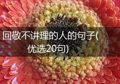 回敬不讲理的人的句子(优选20句)