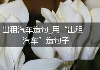 出租汽车造句_用“出租汽车”造句子