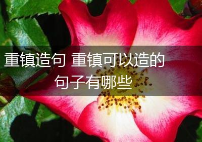 重镇造句 重镇可以造的句子有哪些