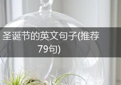 圣诞节的英文句子(推荐79句)