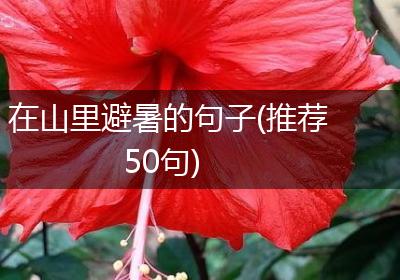 在山里避暑的句子(推荐50句)