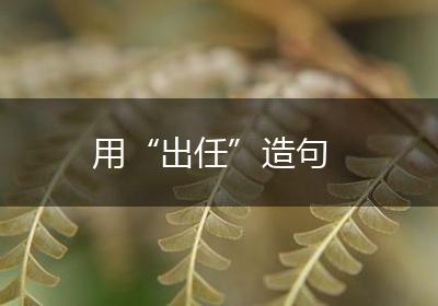 用“出任”造句