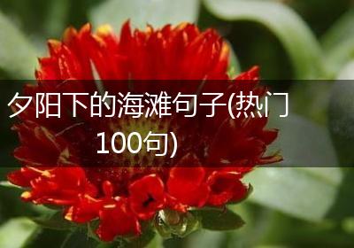 夕阳下的海滩句子(热门100句)