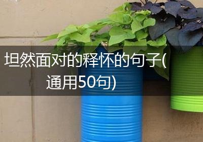 坦然面对的释怀的句子(通用50句)