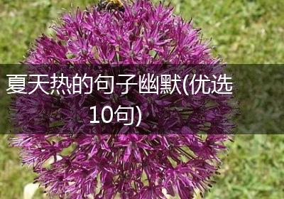 夏天热的句子幽默(优选10句)