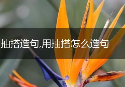 抽搭造句,用抽搭怎么造句
