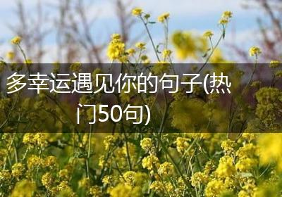 多幸运遇见你的句子(热门50句)