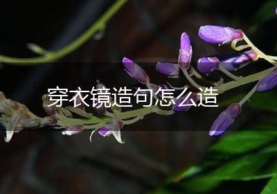 穿衣镜造句怎么造