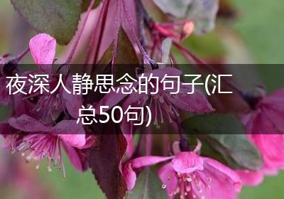 夜深人静思念的句子(汇总50句)