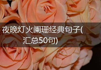 夜晚灯火阑珊经典句子(汇总50句)