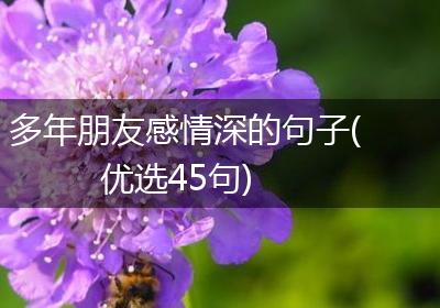 多年朋友感情深的句子(优选45句)