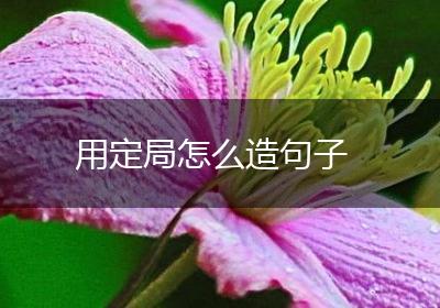 用定局怎么造句子