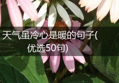 天气虽冷心是暖的句子(优选50句)