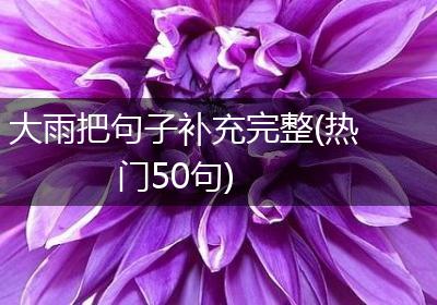 大雨把句子补充完整(热门50句)