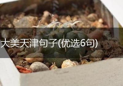 大美天津句子(优选6句)