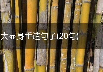 大显身手造句子(20句)