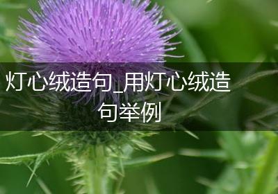 灯心绒造句_用灯心绒造句举例