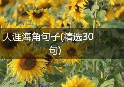 天涯海角句子(精选30句)