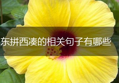东拼西凑的相关句子有哪些