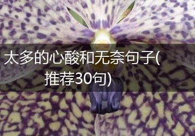 太多的心酸和无奈句子(推荐30句)