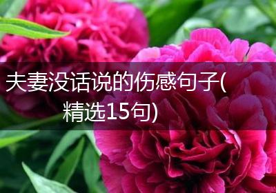 夫妻没话说的伤感句子(精选15句)