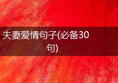 夫妻爱情句子(必备30句)