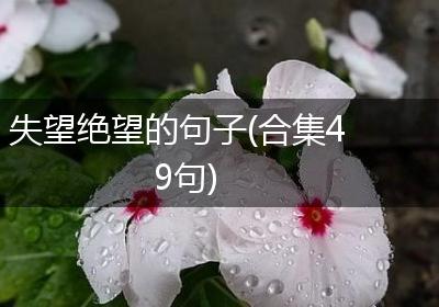 失望绝望的句子(合集49句)