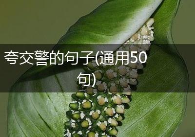 夸交警的句子(通用50句)