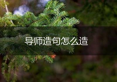 导师造句怎么造