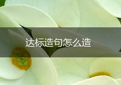 达标造句怎么造