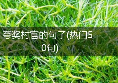 夸奖村官的句子(热门50句)