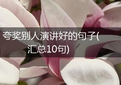 夸奖别人演讲好的句子(汇总10句)