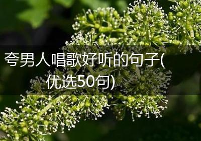 夸男人唱歌好听的句子(优选50句)
