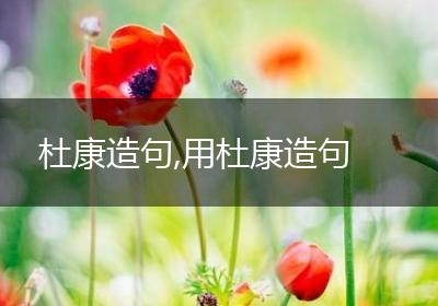 杜康造句,用杜康造句