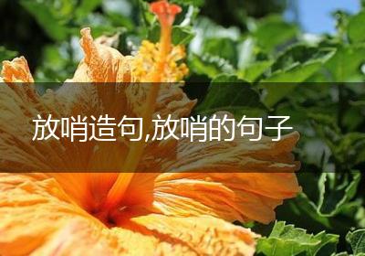 放哨造句,放哨的句子