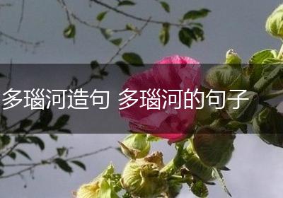 多瑙河造句 多瑙河的句子