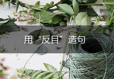 用“反目”造句