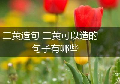 二黄造句 二黄可以造的句子有哪些