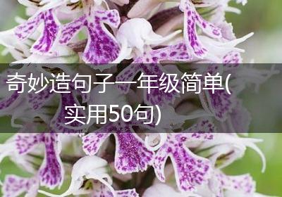 奇妙造句子一年级简单(实用50句)