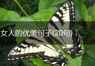 女人的优美句子(20句)