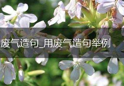 废气造句_用废气造句举例