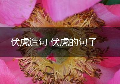 伏虎造句 伏虎的句子
