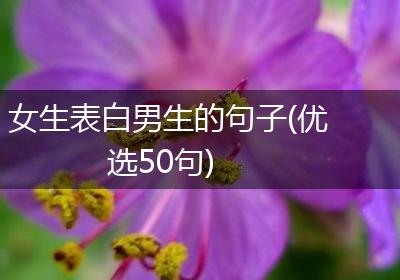 女生表白男生的句子(优选50句)