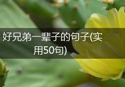 好兄弟一辈子的句子(实用50句)