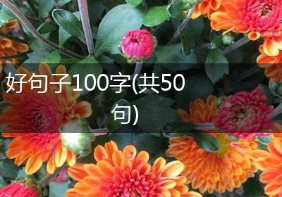 好句子100字(共50句)
