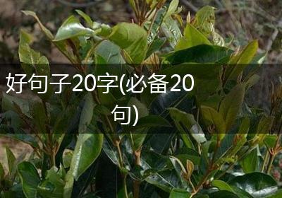好句子20字(必备20句)